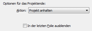 Optionen für das Projektende