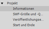 Projektinformationen