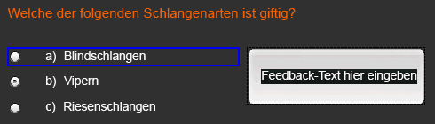 Textbeschriftung für Feedback