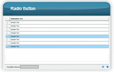 Die Interaktion "Radio Button"