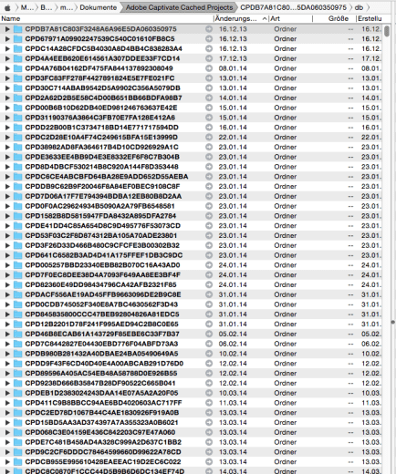 55 GB Cache-Dateien